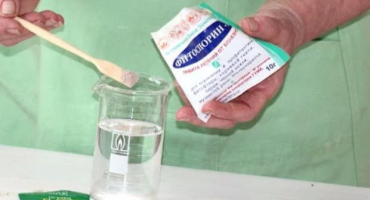 Proč se sazenice okurek natáhly a co dělat